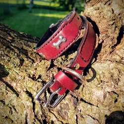 Red leather dog collar