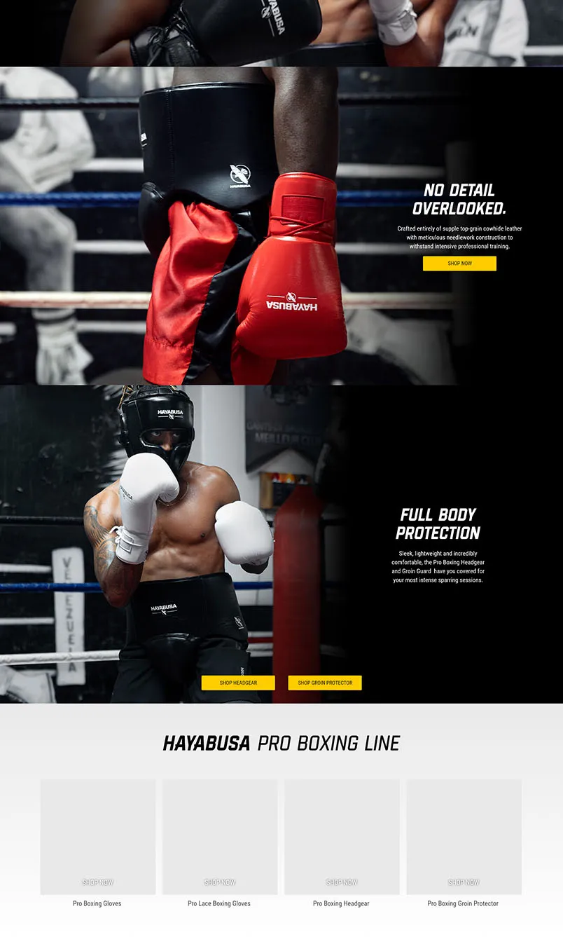Hayabusa pro boxing equipment desktop with two boxers in ring wearing red and blue gloves